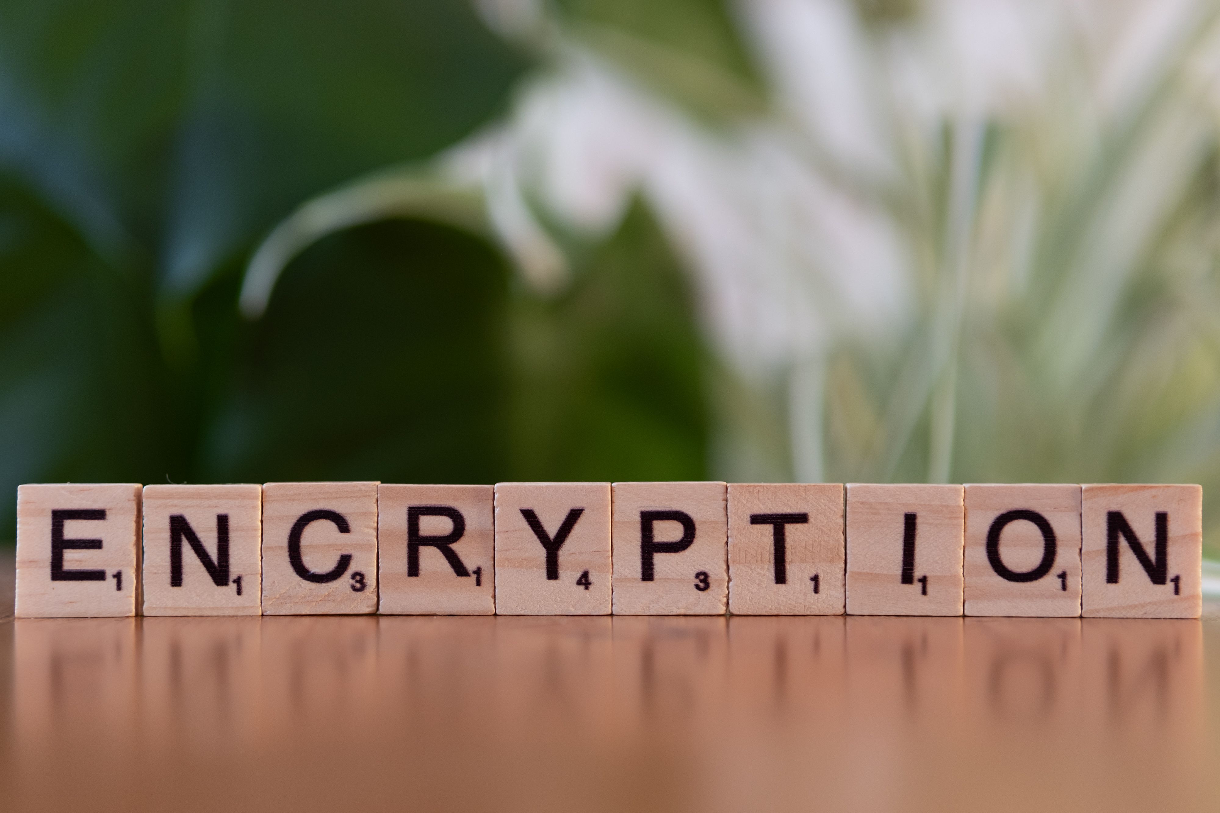 SSL Certificate – Organization Validated (OV) SSL Certificate