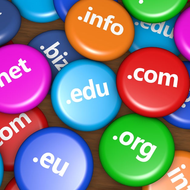 Domain Name Registration (.com, .org)