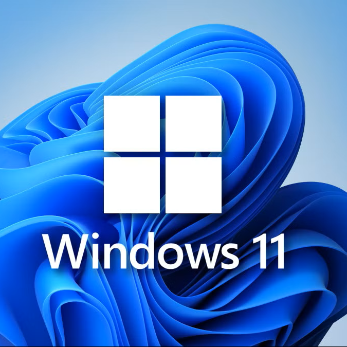 Microsoft Windows 11 Pro